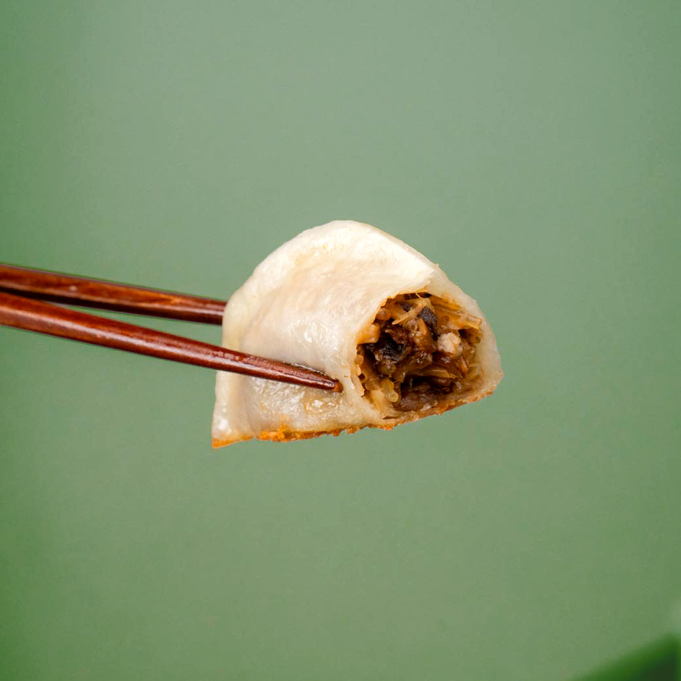 Roasted Mushroom & Cabbage Dumplings